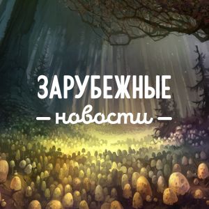 Итоги премии Expert Game Award 2024