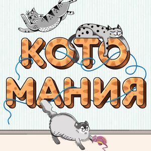 Примани кота, игрушками шурша