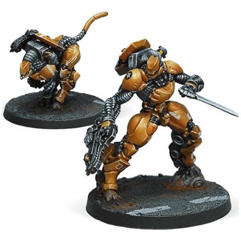 Infinity. Sù-Jiàn Immediate Action Unit