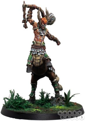 Warcrow. Sÿenann: Eachann, the Great Centaurelf фото 3