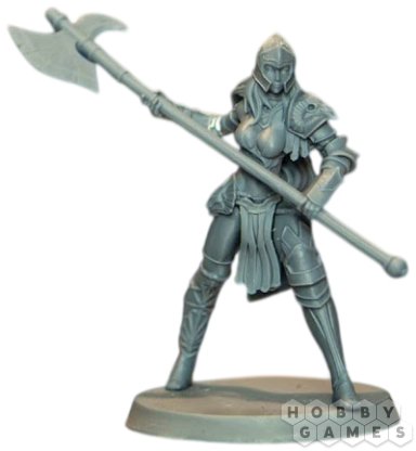 Eldfall Chronicles: Amazon Gladiatrix фото 2