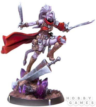 Eldfall Chronicles. Queen&#039;s Blade: Reinforcements Pack фото 4