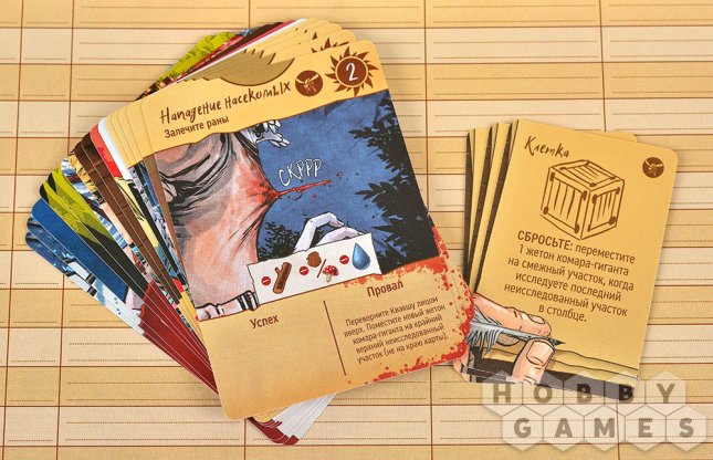 Корпус Открытий: Имаго фото 5