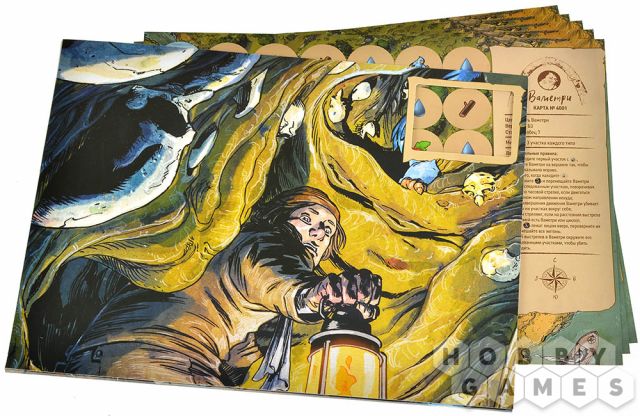 Корпус Открытий: Ваметри фото 4