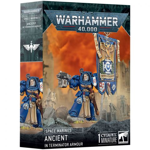 Space Marines: Ancient in Terminator Armour