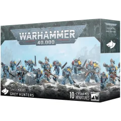 Space Wolves: Grey Hunters
