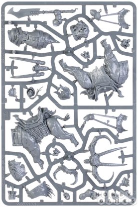 Ogor Mawtribes: Maulbeast Raiders фото 5