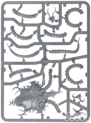 Hedonites of Slaanesh: The Accursed Reflection фото 10