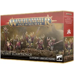 Maggotkin of Nurgle: Putrid Blightkings