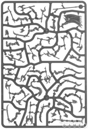 Disciples of Tzeentch: Tzaangor Warflock фото 12