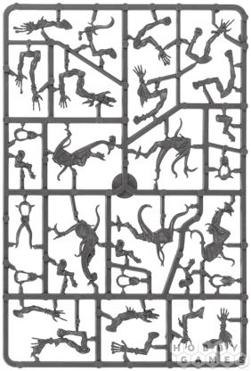 Battleforce: Disciples Of Tzeentch. Warpflame Cavalcade фото 21