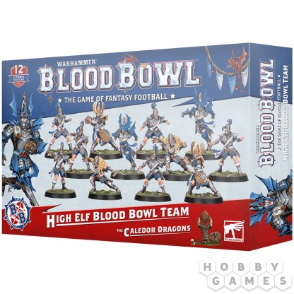 Blood Bowl: High Elf Team