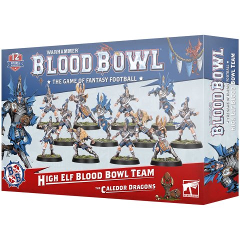 Blood Bowl: High Elf Team