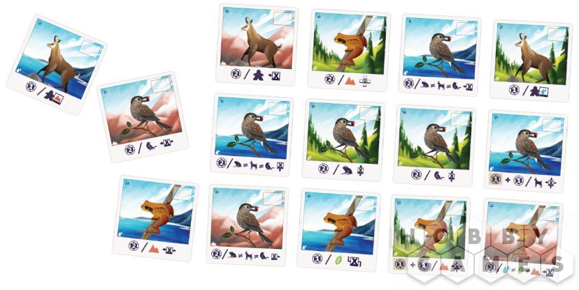 Альпы фото 4