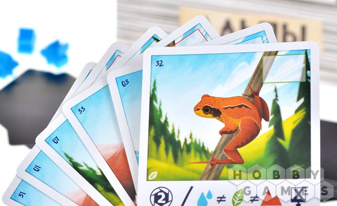 Альпы фото 6