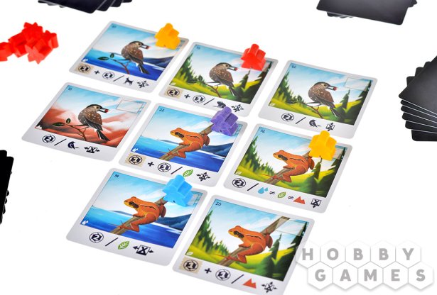 Альпы фото 7