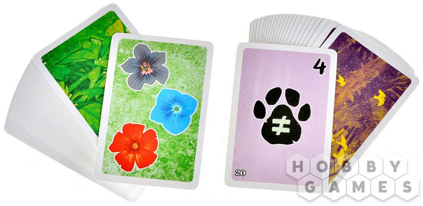 Хутан фото 9