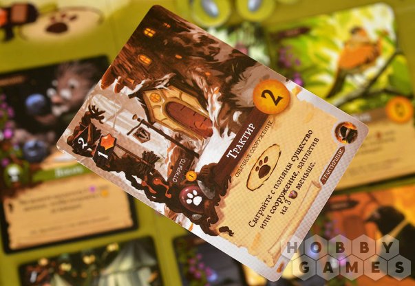 Эверделл. Базовое издание фото 11