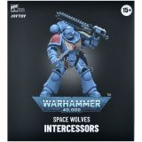 Фигурка JoyToy. Warhammer 40,000: Space Wolves Intercessors