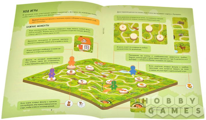 Где же лисички? фото 8