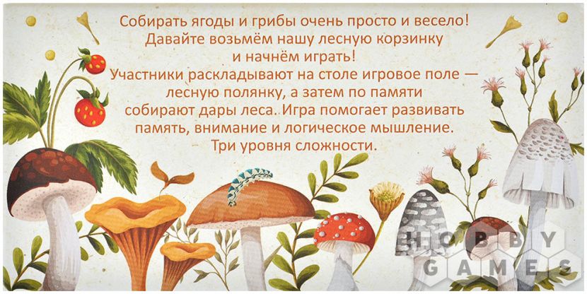 Лесная корзинка фото 3