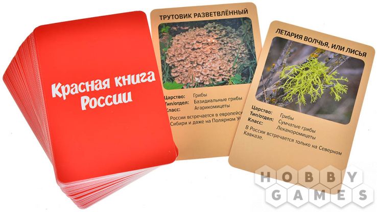 Мемо: Красная книга России фото 5