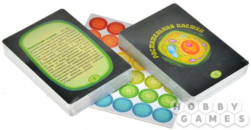 Под микроскопом фото 6