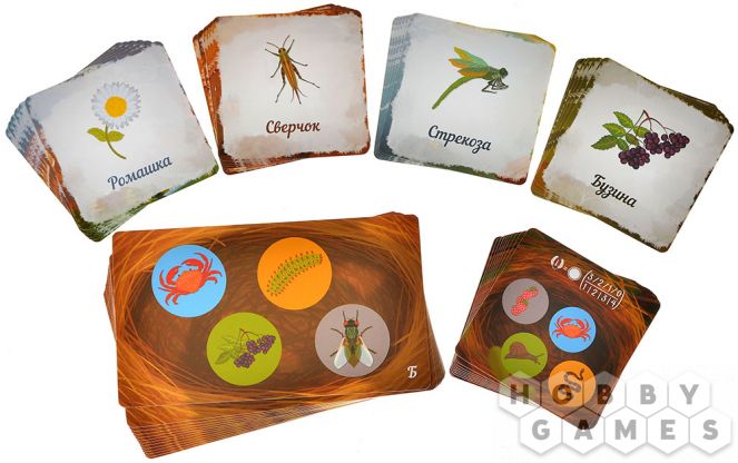 Птенцы. Делюкс фото 14