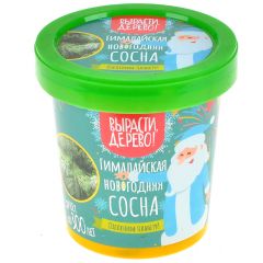 Вырасти, дерево: Гималайская новогодняя сосна