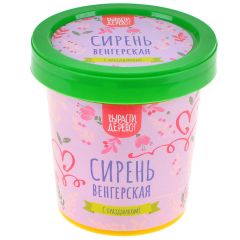 Вырасти, дерево! Подарочная серия: Сирень венгерская