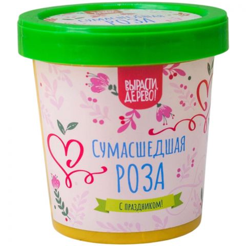 Вырасти, дерево! Подарочная серия: Сумасшедшая роза