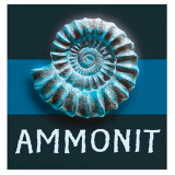 Ammonit Spiele