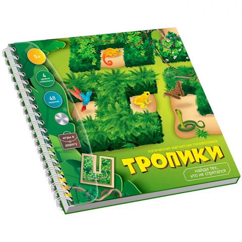Магнитная игра-головоломка 