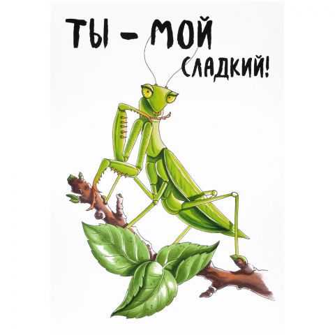 Открытка 