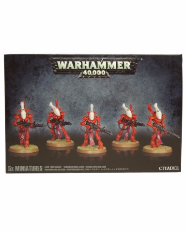 Eldar Wraithguard