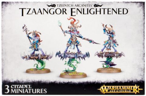 Tzaangor Enlightened/Skyfires (2017)