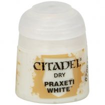 Краска Dry: Praxeti White