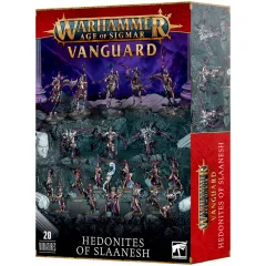 Vanguard: Hedonites of Slaanesh