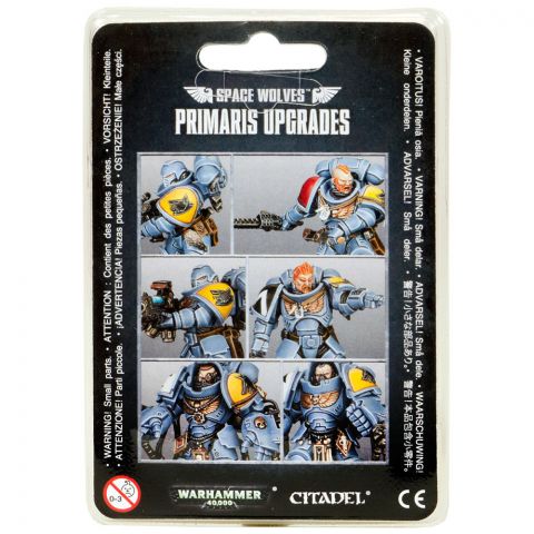 Space Wolves Primaris Upgrades (2018)