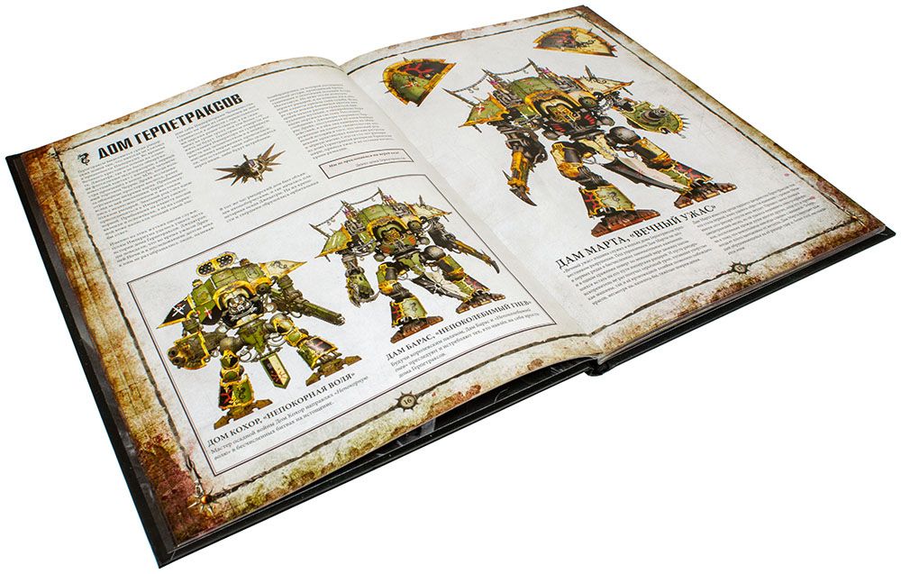 Кодекс рыцаря. У богов свои игры книга. Codex Stan 171-1989. Black Lion Knighthood Codex Universalis. Книга игра на вылет