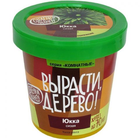 Вырасти дерево: Юкка сизая