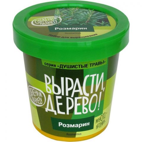 Вырасти дерево: Розмарин