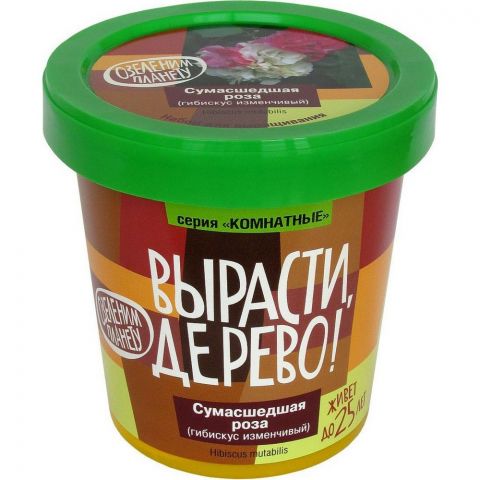 Вырасти дерево: Сумасшедшая роза