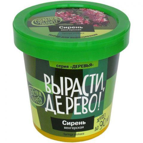 Вырасти дерево: Сирень венгерская