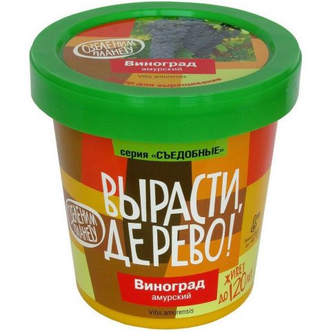 Вырасти дерево: Виноград Амурский