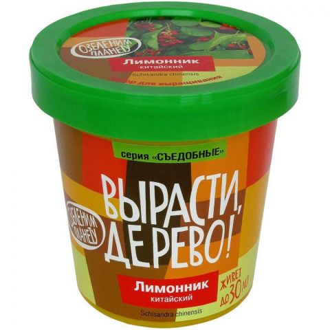 Вырасти дерево: Лимонник китайский