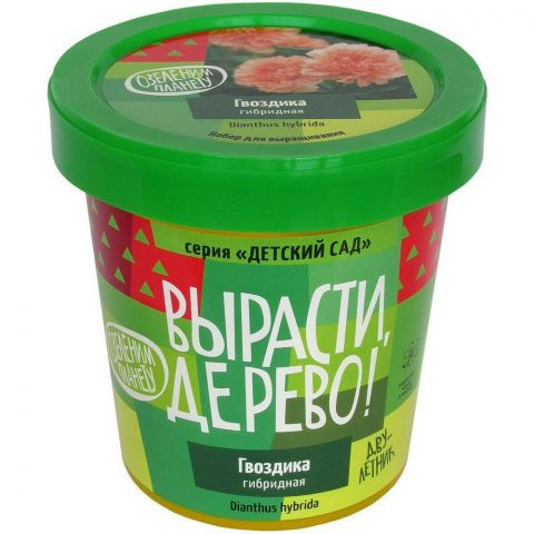 Вырасти дерево: Гвоздика гибридная