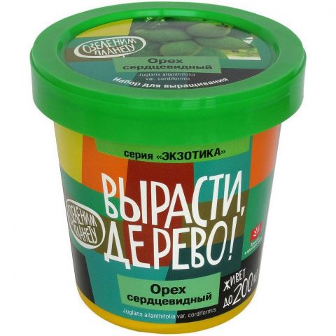 Вырасти дерево: Орех сердцевидный