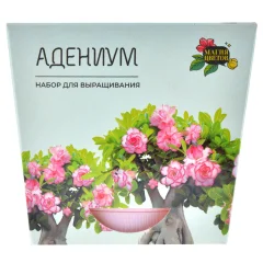Магия цветов: Адениум