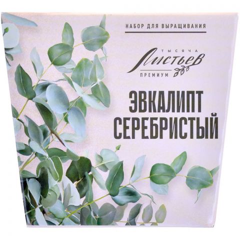 Тысяча листьев Премиум: Эвкалипт Серебристый
